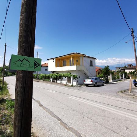 Olympia Project / Χώρος Διαμονής Στην Αλμωπία Daire Exaplatanos Dış mekan fotoğraf